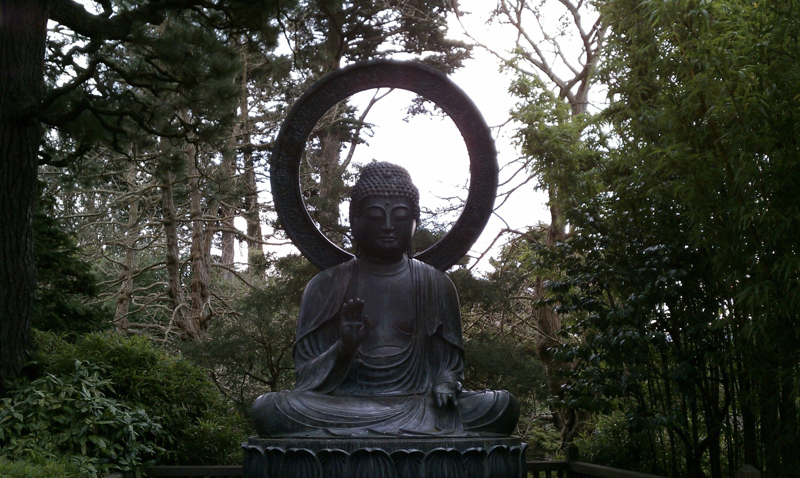 Buddha Buddha peace