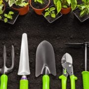 seeds of change
