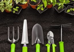 seeds of change